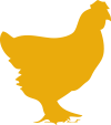 FRI-icon-chicken-color