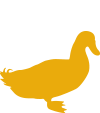 FRI-icon-duck-color