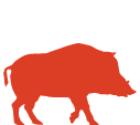 FRI-icon-bison-color