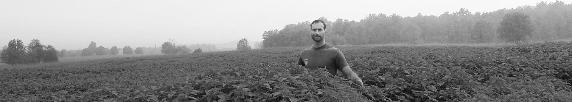 John of Roundstone Native Seed in Upton, Kentucky. Trusted botanical supplier.