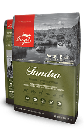 ORIJEN Tundra Biologically Appropriate Dog Food Bag
