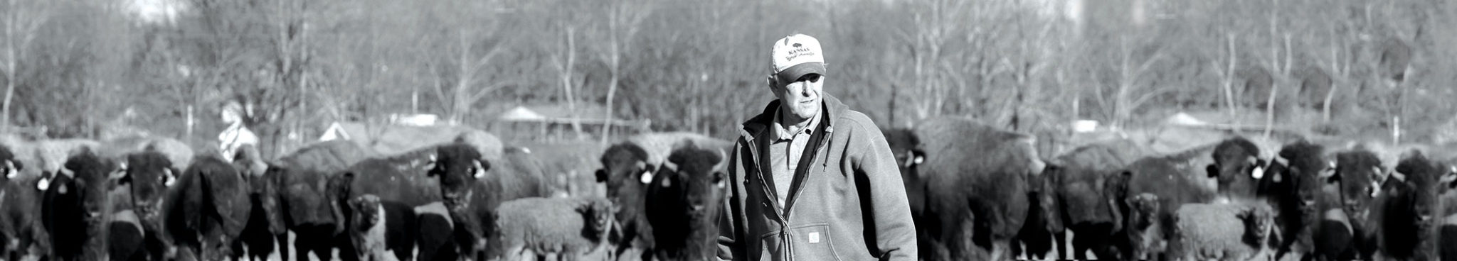 ORIJEN Bison Dog Treats - Bob of Bluegrass Bison in Shelbyville, Kentucky. Trusted supplier of fresh ranch-raised bison. - Man on a bison ranch.